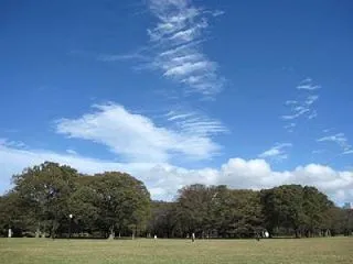 嘘ではないけどオーバーだった？