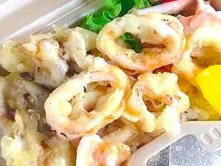 イカ天弁当＆モンゴルの火災 日本のテレビ…