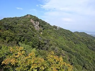 【大小山】トレ 帰リ咲キト【おぐら屋】