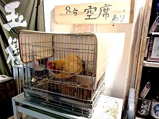 ﾍﾟｯﾄの名前は ねぎま♪ 焼き鳥 あす…