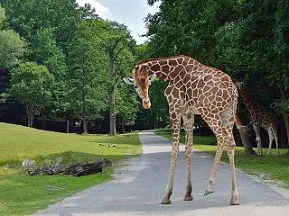 エイブラハムの一言 誰かの意見よりも…