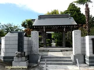 座間栗原の古刹「栗原山崇福寺」の花々！！