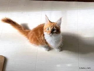元気ですくすく・・・・・アリンコ通信♪