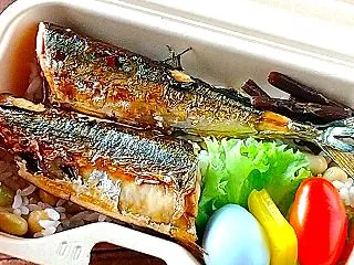 秋刀魚の蒲焼き弁当＆高市政権１年 これか…