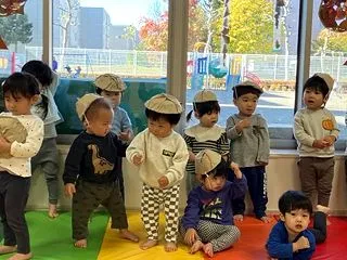 どんぐり