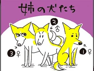 攻めと守り