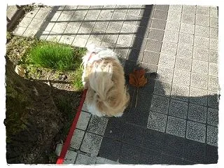 今日は。