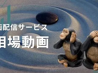 お昼の動画とは一味違う別の動画も配信して…