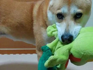 顔はつくれる。