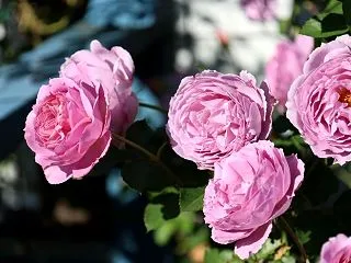 ★ 8年10月23日 ★