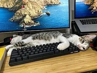 お気に入りの場所