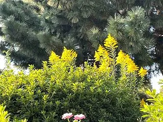 期待は裏切られる