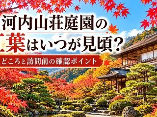 大河内山荘庭園の紅葉はいつが見頃？見どこ…