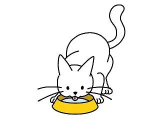 野良ねこ保護ノート（１６）複雑な思い