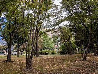 建物も健康診断は大事です