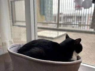 今日のふぅちゃん