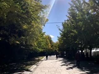 お散歩☆中島公園