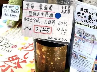 寒菊 電照菊 normal ver.
