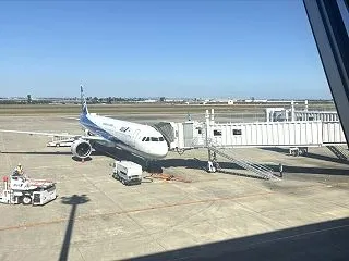白鳥のような生き方