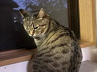 2026.10.22 酒と肴 旬の里芋で…