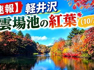 【速報】軽井沢 雲場池の紅葉（10/22…