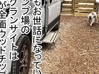 特殊能力開花