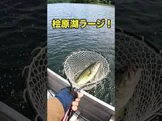 サイズ測定は、あとの大物で