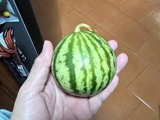 第1ラウンドは負け