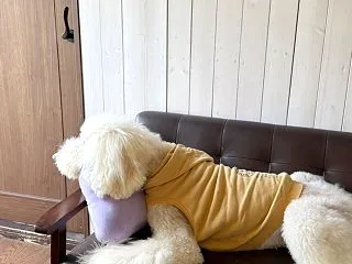シニアになるといろんなことがあるね