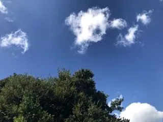 ☆テーマをもった行動で俄然面白くなり、楽…