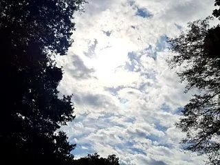 一期一会の瞬間を大切にする