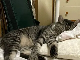 汗のにおい？