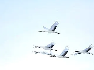 夜間取引の配信と前営業日の夜間取引結果