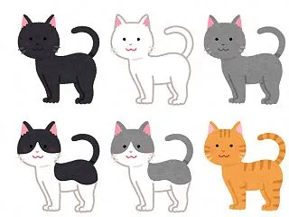 野良猫 対策 「TNR」に協力！～エサを…