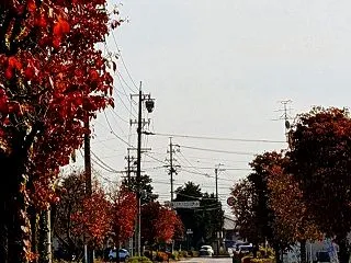 青空広がる