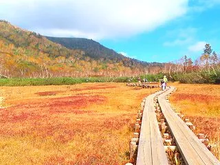 長野県／栂池（つがいけ）自然園☆⑤最終回