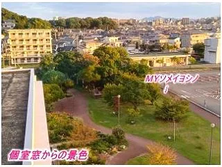 姉一家の見舞い 超絶不調からup いつ急…