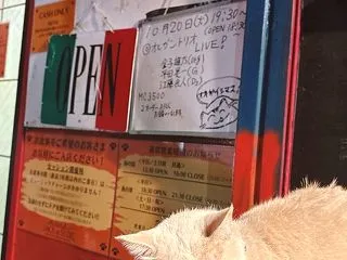 そうか。圏外にきたのか。