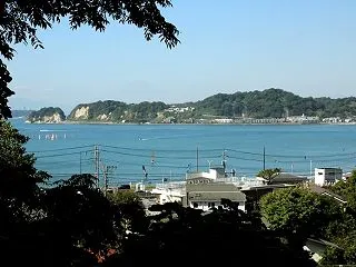 材木座・光明寺の裏山にて