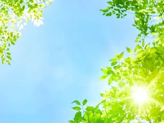 本日（17：00 → 06：00）の売買…