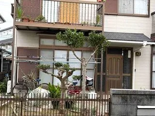庭木 剪定