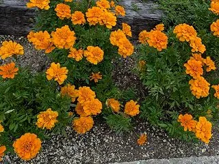 １０月２２日（木）
