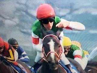 菊花賞ロブチェンの三冠防止出来るか？新勢…