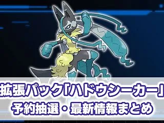 『ハドウシーカー』予約/抽選情報まとめ｜…