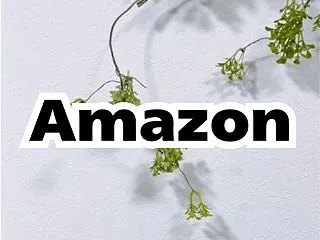 【Amazon】安い！！松屋のバターチキ…