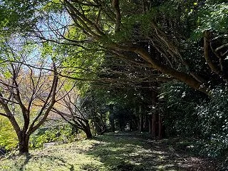 音への反応は、体のサイン