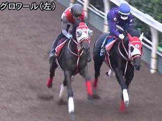 【アルテミスステークス2026予想考察】…