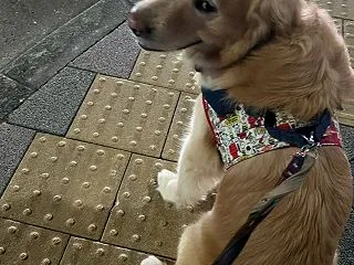 みんなげんき？