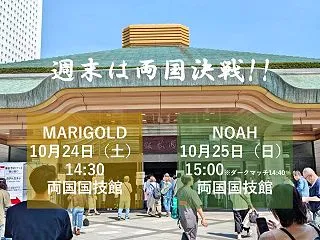 【週末情報】観戦は両国国技館か配信で 土…