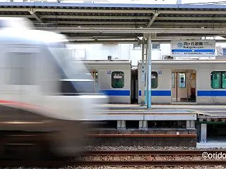 向ヶ丘遊園、銀色が通過する